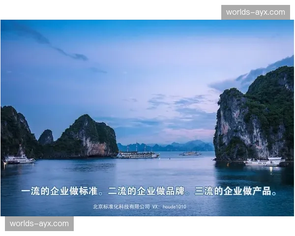 行业头部企业示范效应增强 带动整体水平 行业头部企业示范效应增强 带动整体水平
